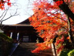 湖南三山 紅葉巡り
