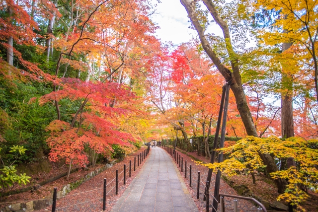 世界遺産　紅葉の高野山参り